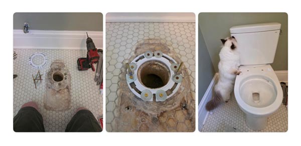 Toilet Installation